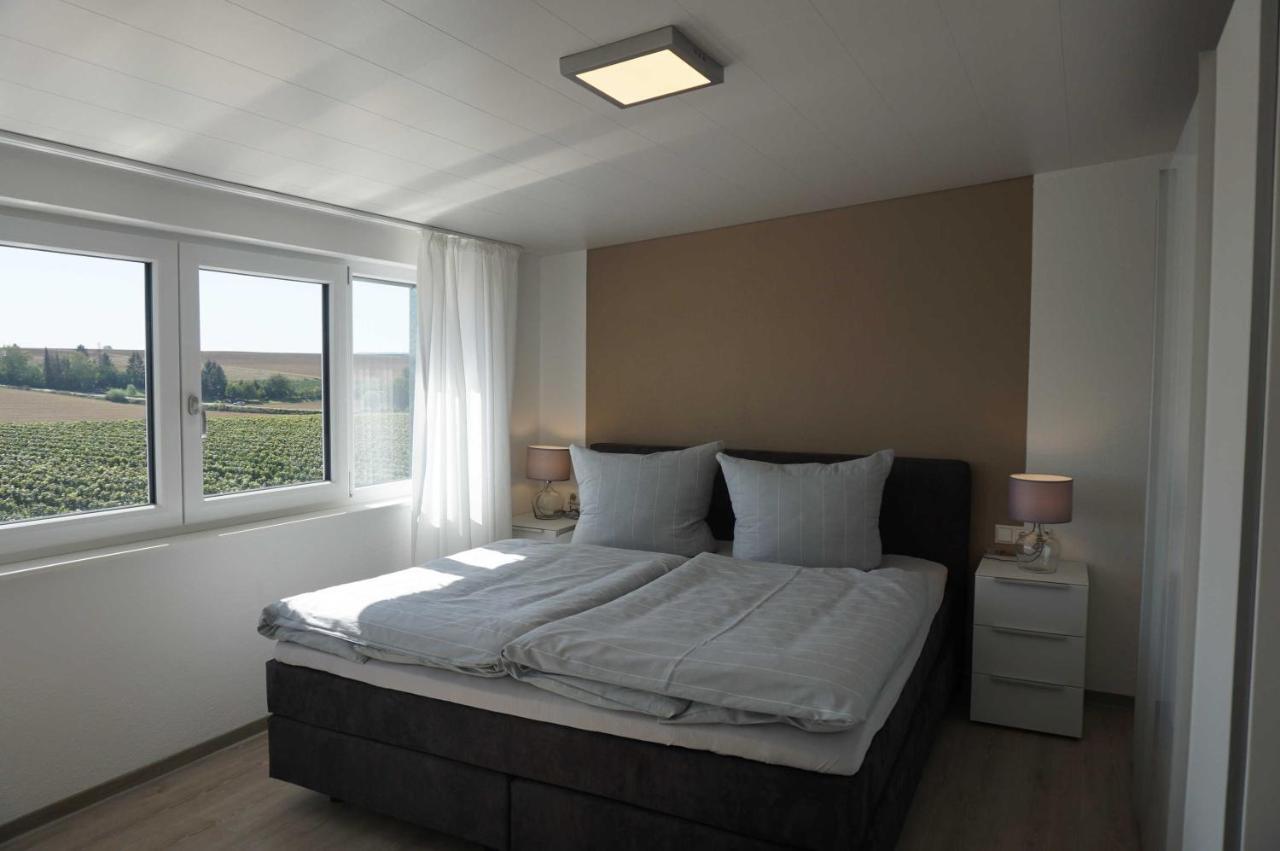 Apartmán Weingut Schaaf Lauffen am Neckar Exteriér fotografie