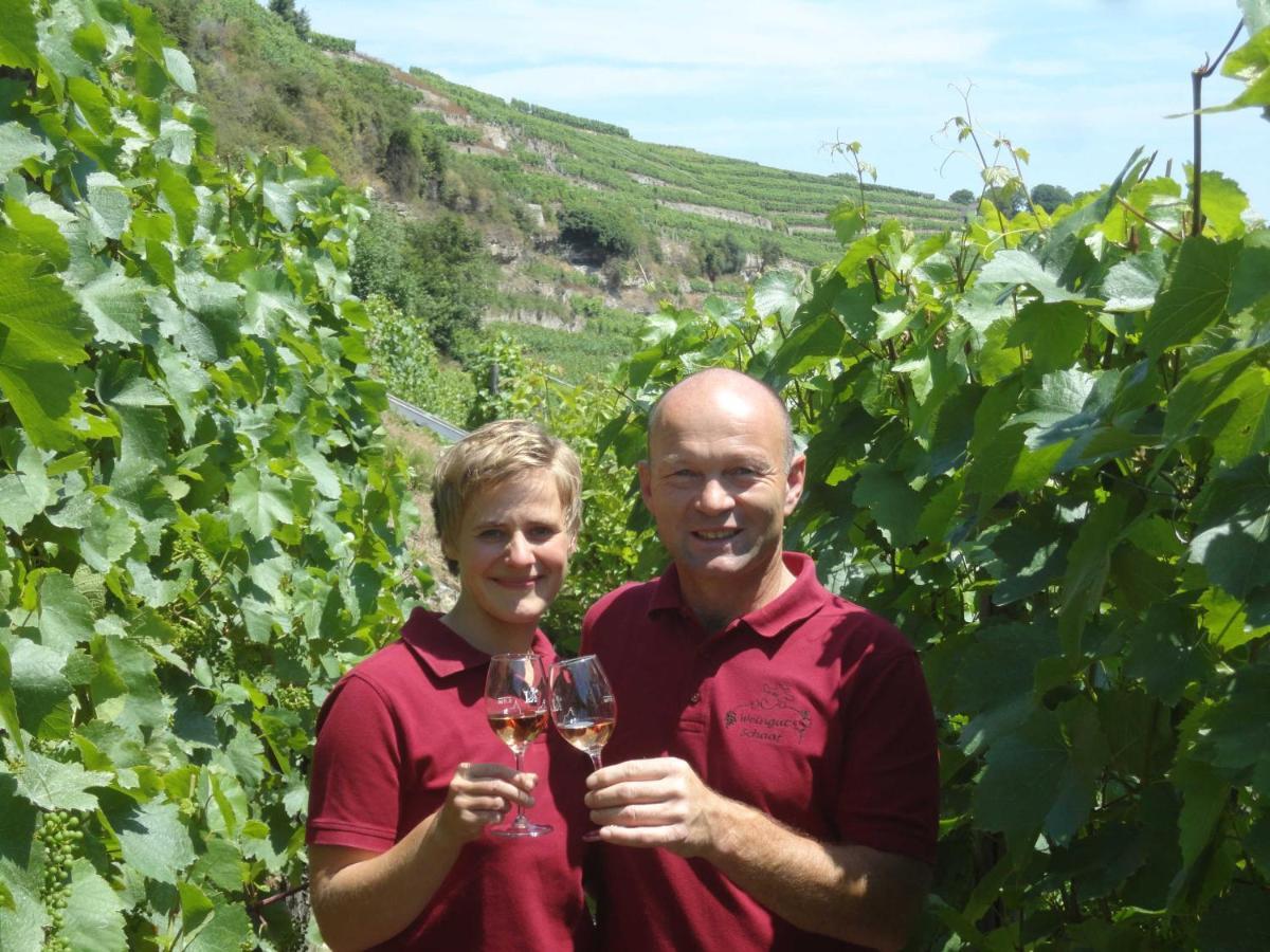Apartmán Weingut Schaaf Lauffen am Neckar Exteriér fotografie